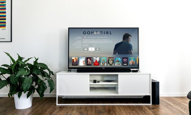 L’Ina veut participer à la future plateforme VOD de France Télévisions