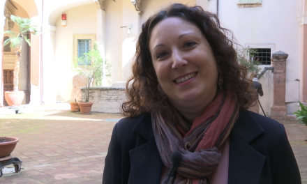 Facts and Affects – Rosa Meneses sur le bonheur