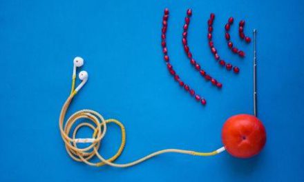 Streaming: Radio France et Deezer signent un accord