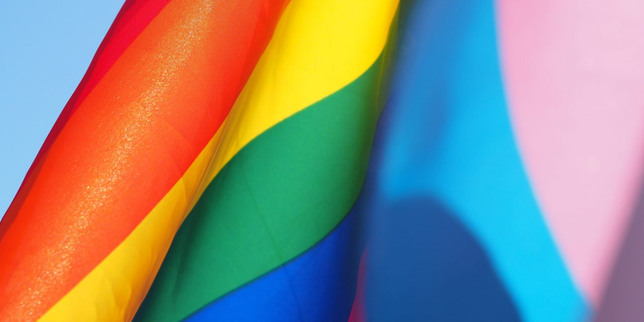 Le coming-out d’Elliot Page ravive les questions sur la représentation des personnes transgenres dans les médias