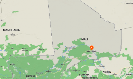 Toujours aucun signal du journaliste Olivier Dubois, otage au Mali depuis 7 mois